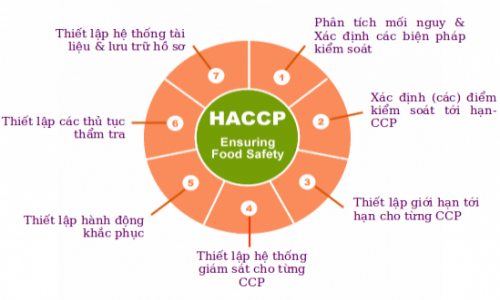 7 NGUYÊN TẮC CỦA HACCP